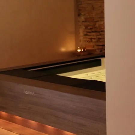 酒店 Palau Macelli & 卡斯特罗·德波利亚斯