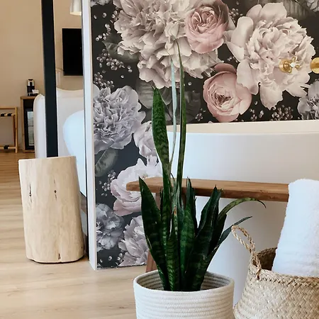 Palau Macelli & 4*