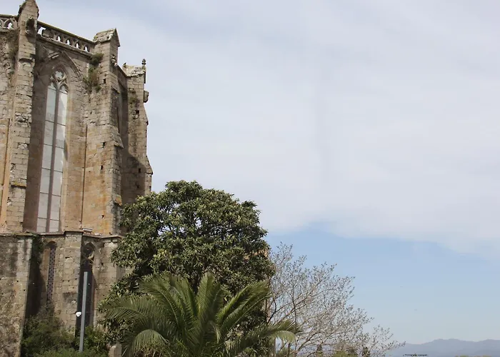Palau Macelli & מלון